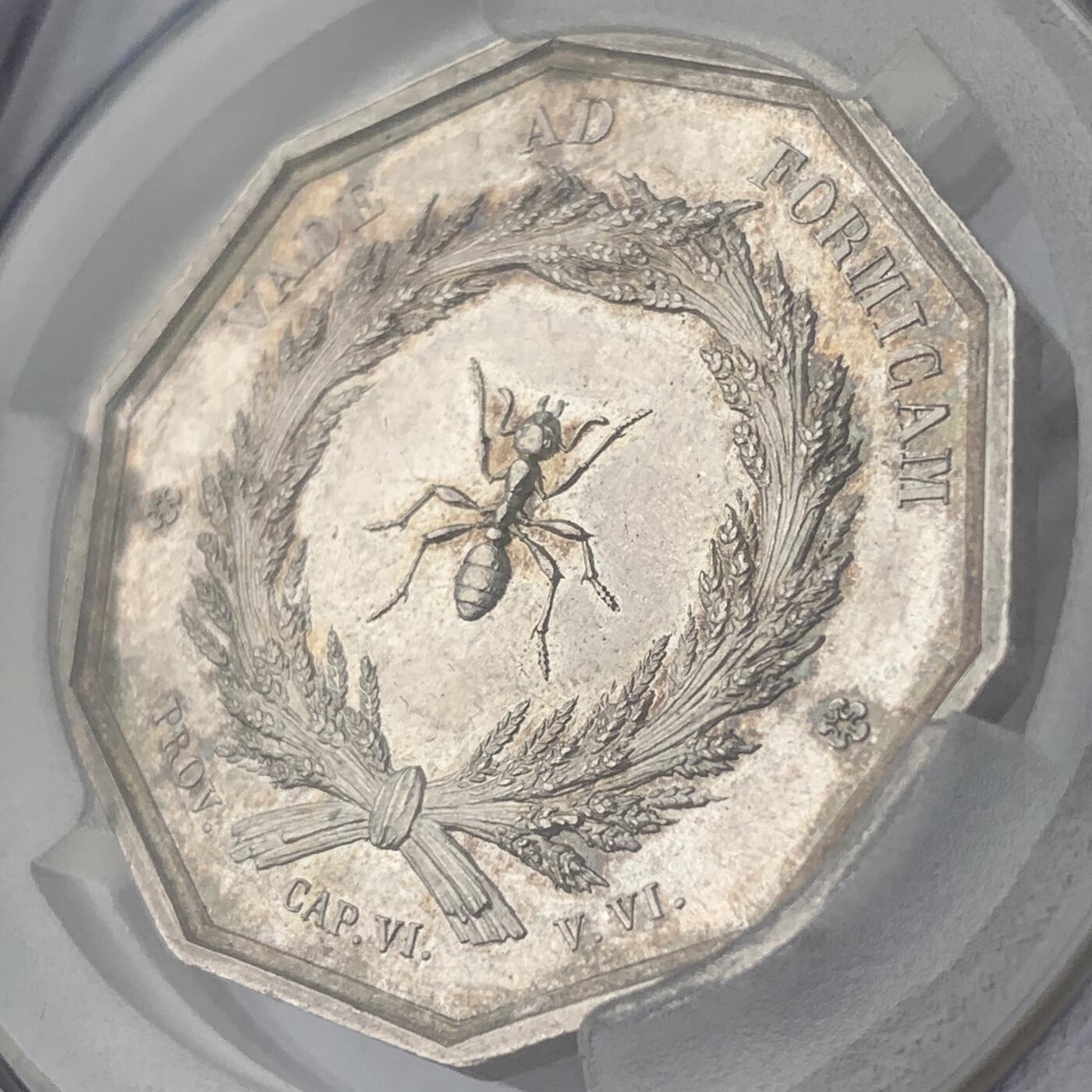 掌中浮雕-藏着的欧洲第051场