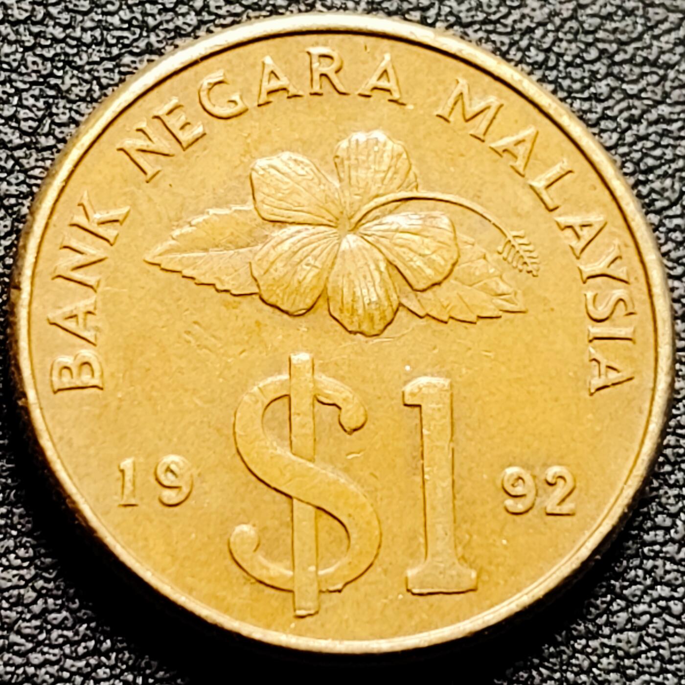 泉币菌-第176场- 精品福利场 。