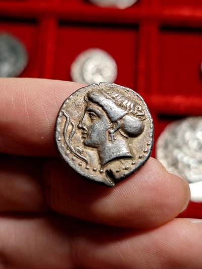 评级古希腊宁芙女神银币 - 评级古希腊宁芙女神银币