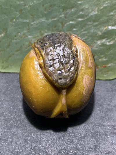 精美亚光原皮天眼纹战国红玛瑙手工俏色巧雕双头蛇吊坠一个， - 精美亚光原皮天眼纹战国红玛瑙手工俏色巧雕双头蛇吊坠一个，