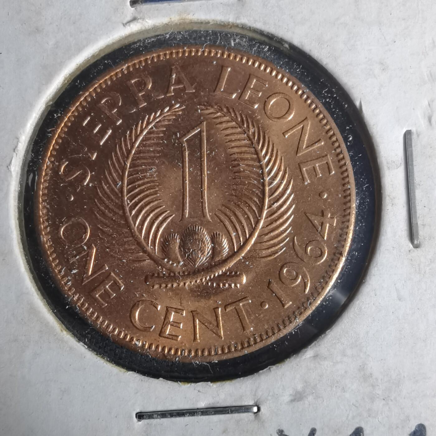 沼泽如烟--第977场 塞拉利昂1964年一分