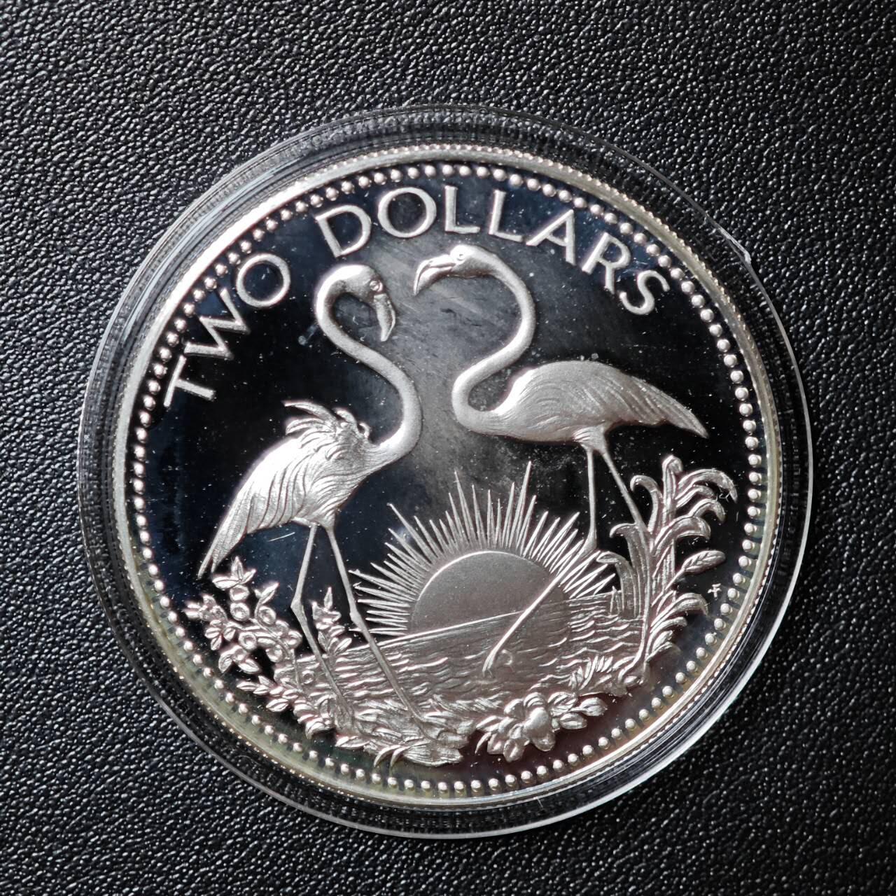 金瓯小拍第三期 古今币章 银价专场 巴哈马双火烈鸟精制银币1974年 33.3克