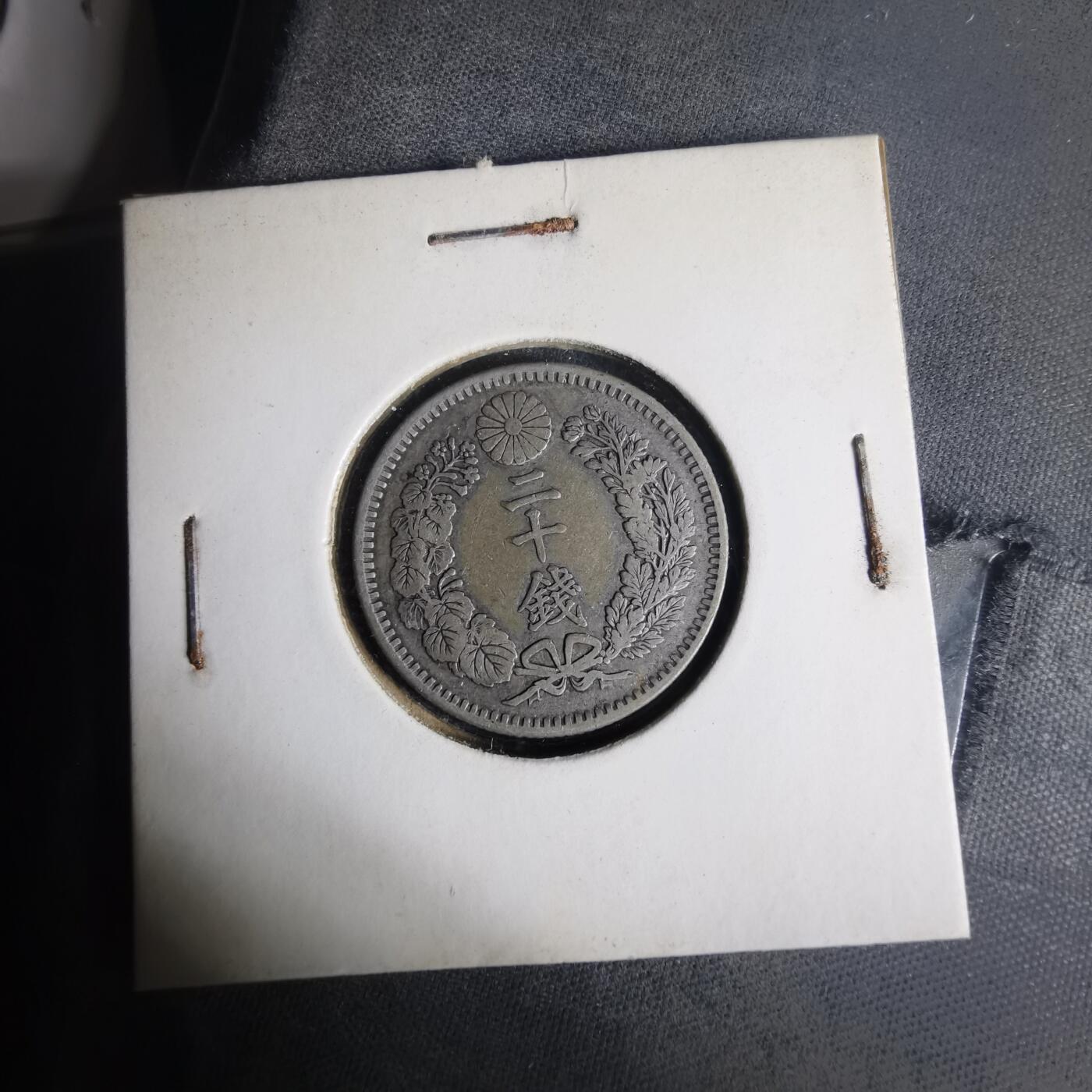 沼泽如烟--第977场