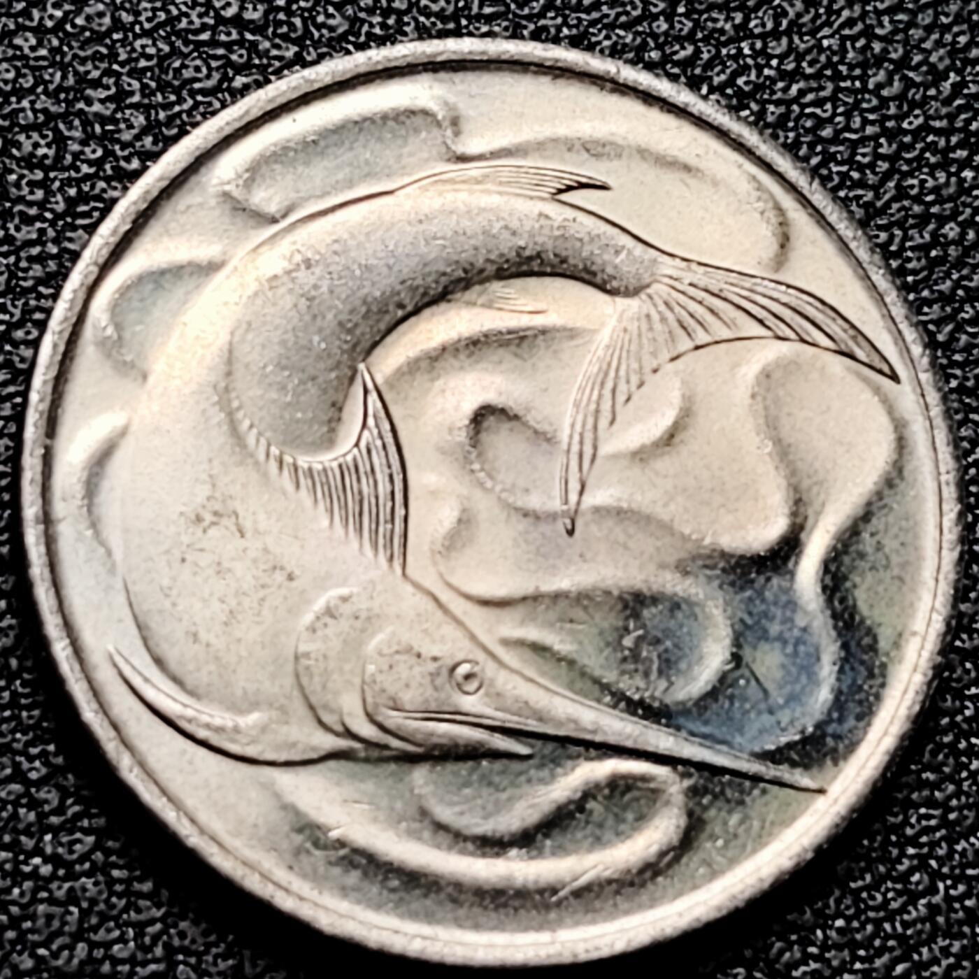 泉币菌-第176场- 精品福利场 。