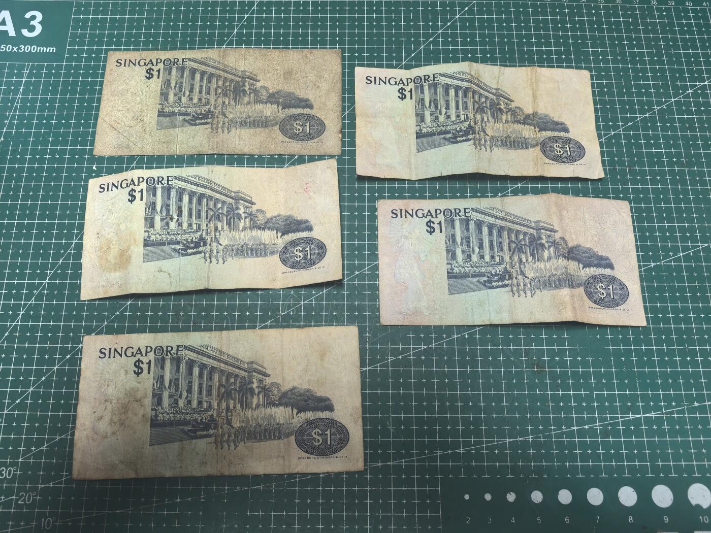 轻松集币无压力 新加坡鸟版1/组