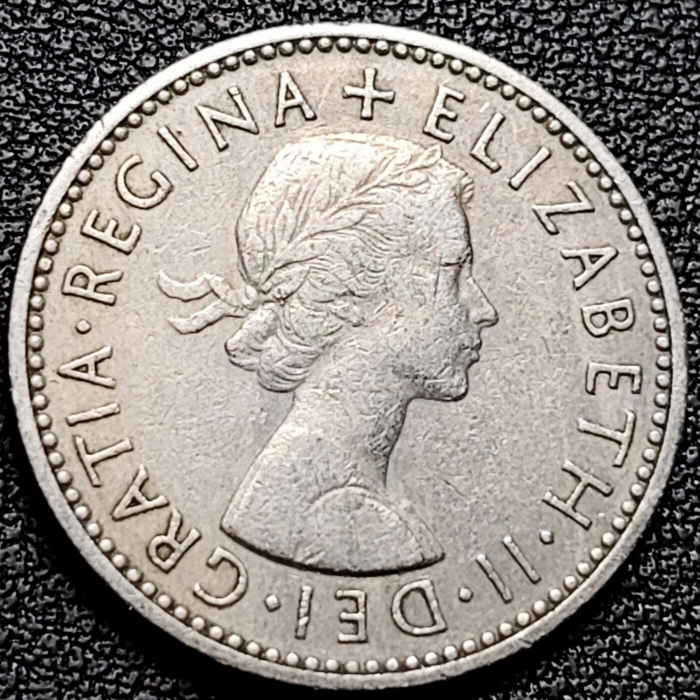 泉币菌-第176场- 精品福利场 。