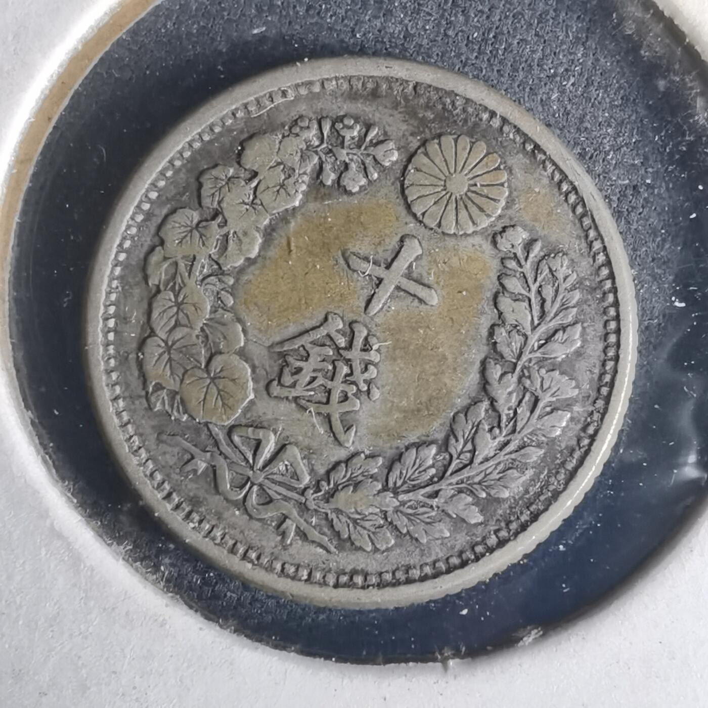 沼泽如烟--第977场