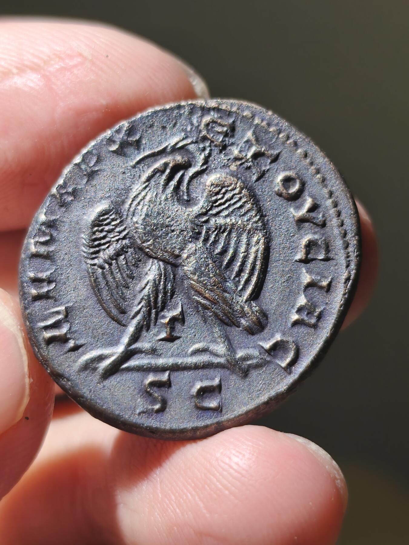 星盘世界钱币一月三十一日丝绸之路 - 世界古典币专场