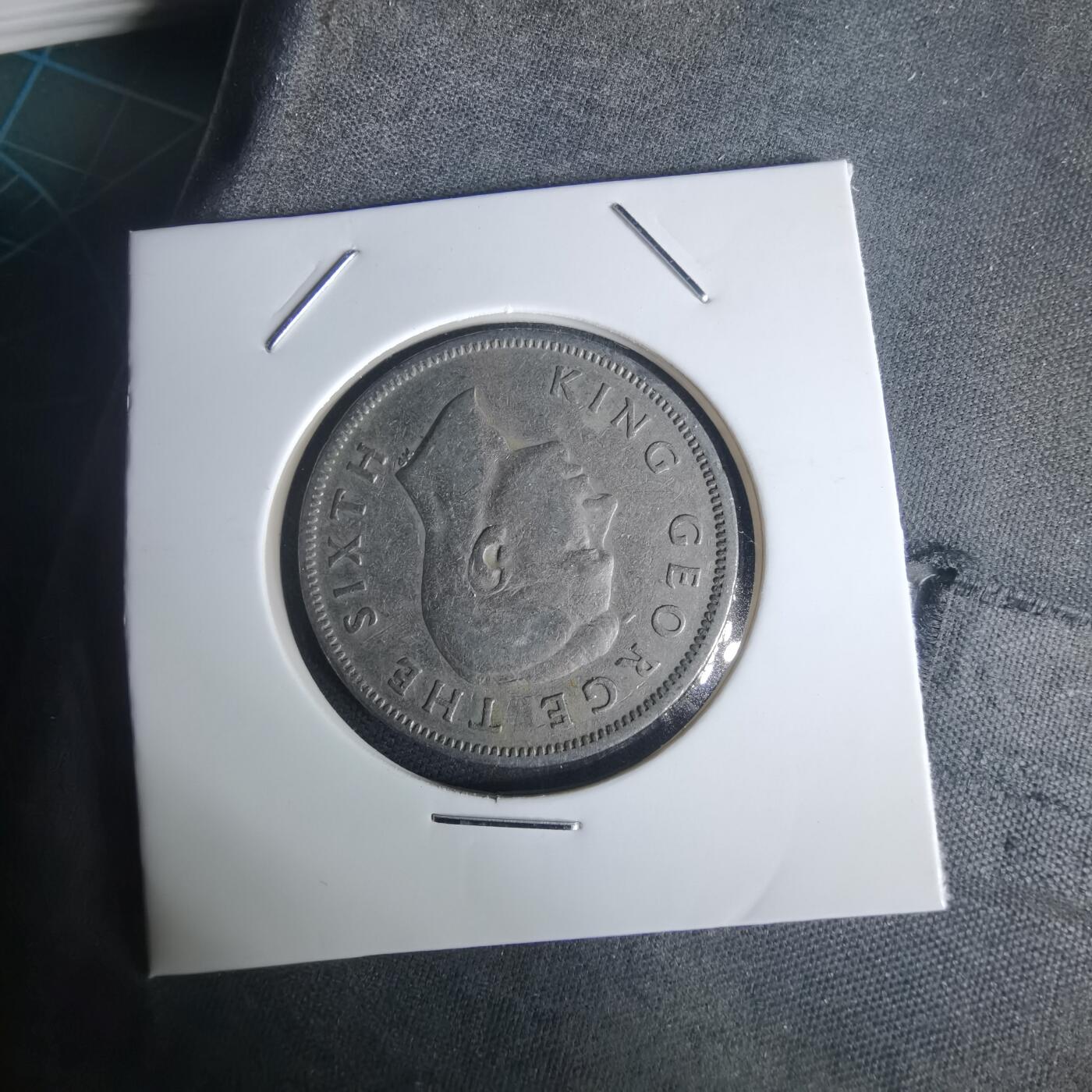 沼泽如烟--第977场