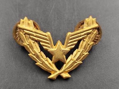 1月25日徽章钱币专场 - 美国肩章徽章