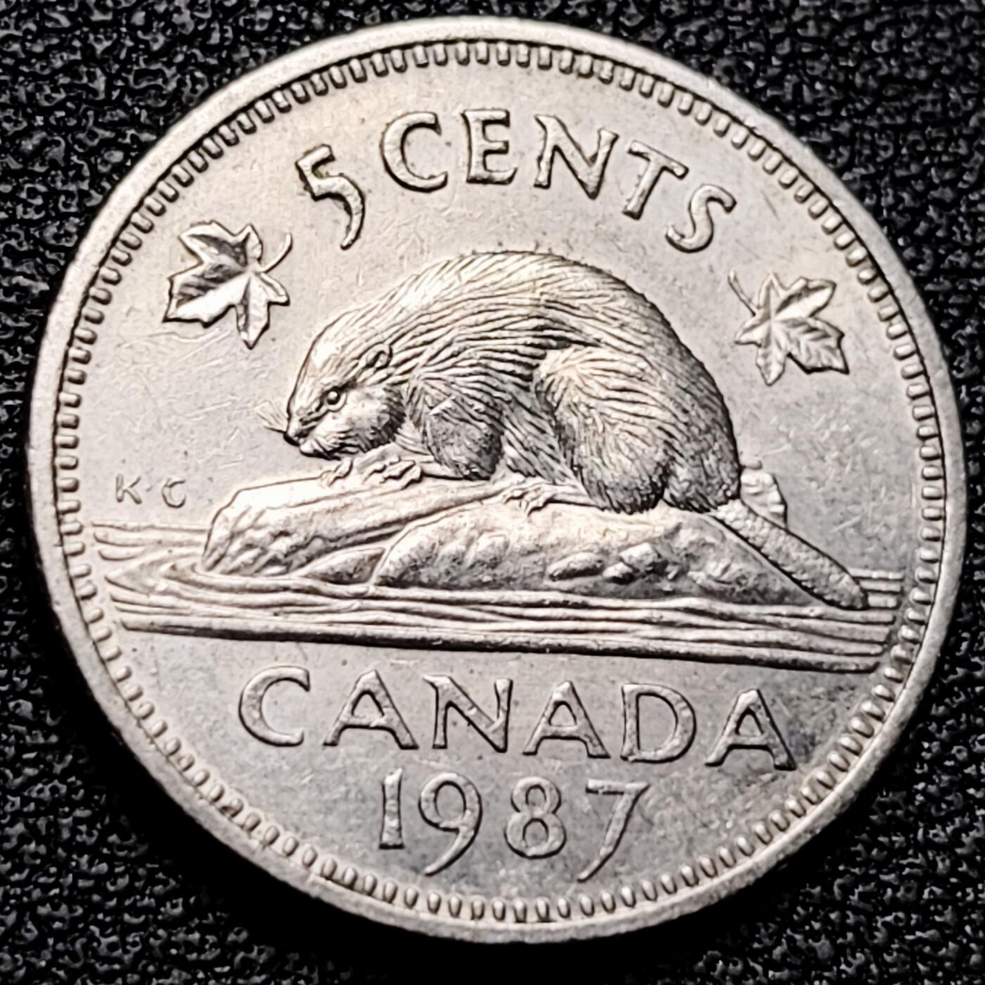 泉币菌-第175场- 精品福利场 。