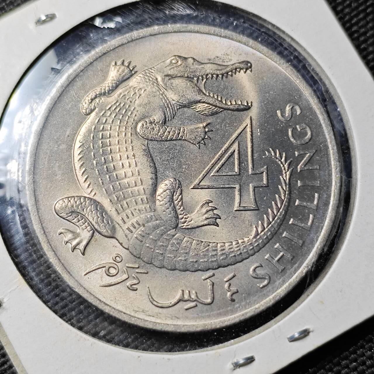 KK钱币收藏小铺  第399期  百期特拍（四拍之三）2月预留时间 周末发货  1966英属冈比亚4先令 好品 鳄鱼