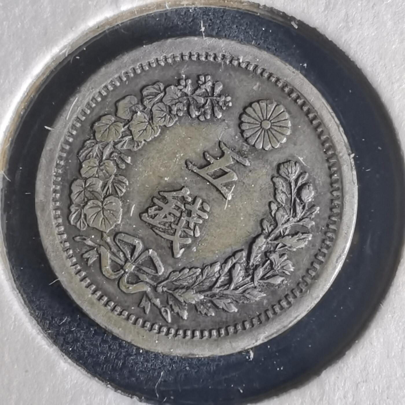 沼泽如烟--第977场