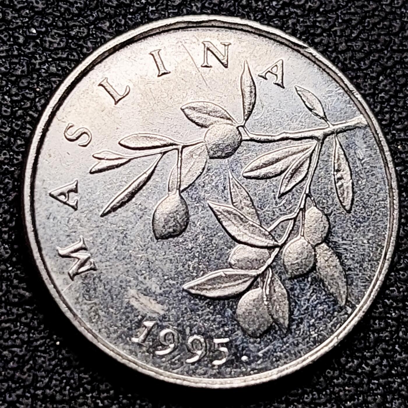 泉币菌-第176场- 精品福利场 。