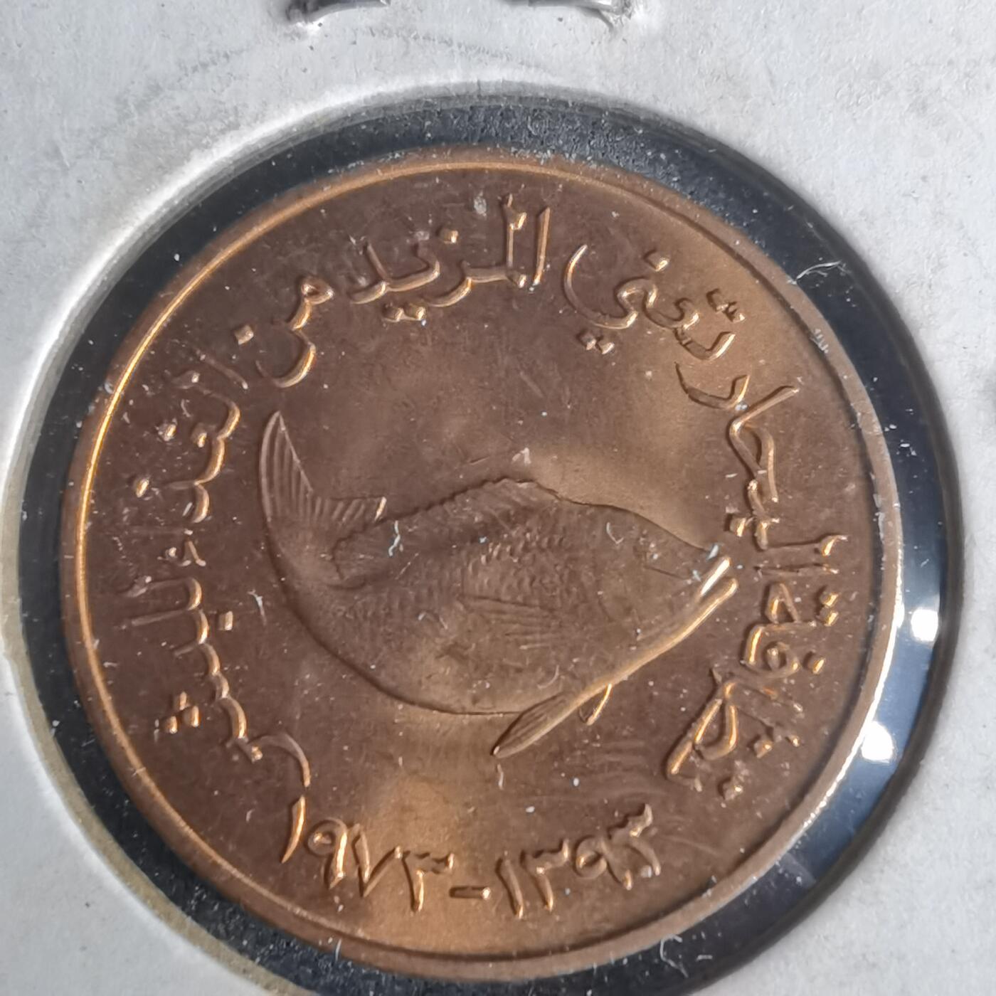 沼泽如烟--第977场 阿联酋