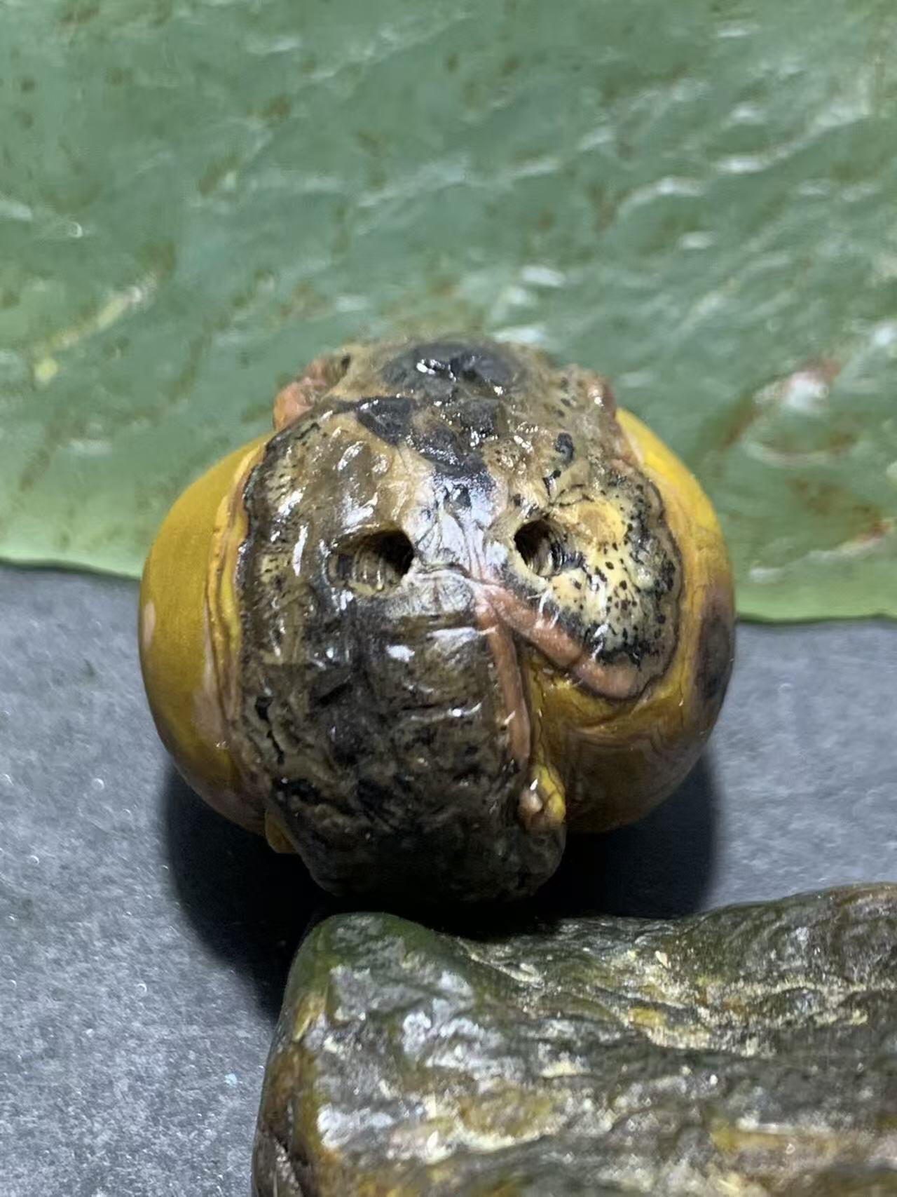 精美亚光原皮天眼纹战国红玛瑙手工俏色巧雕双头蛇吊坠一个，