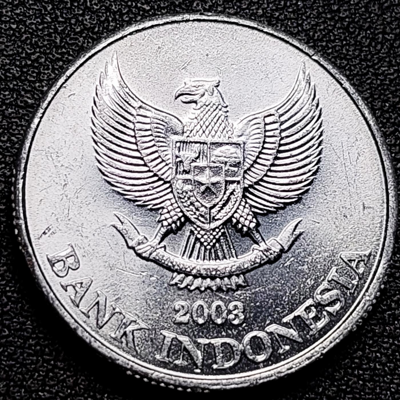 泉币菌-第176场- 精品福利场 。