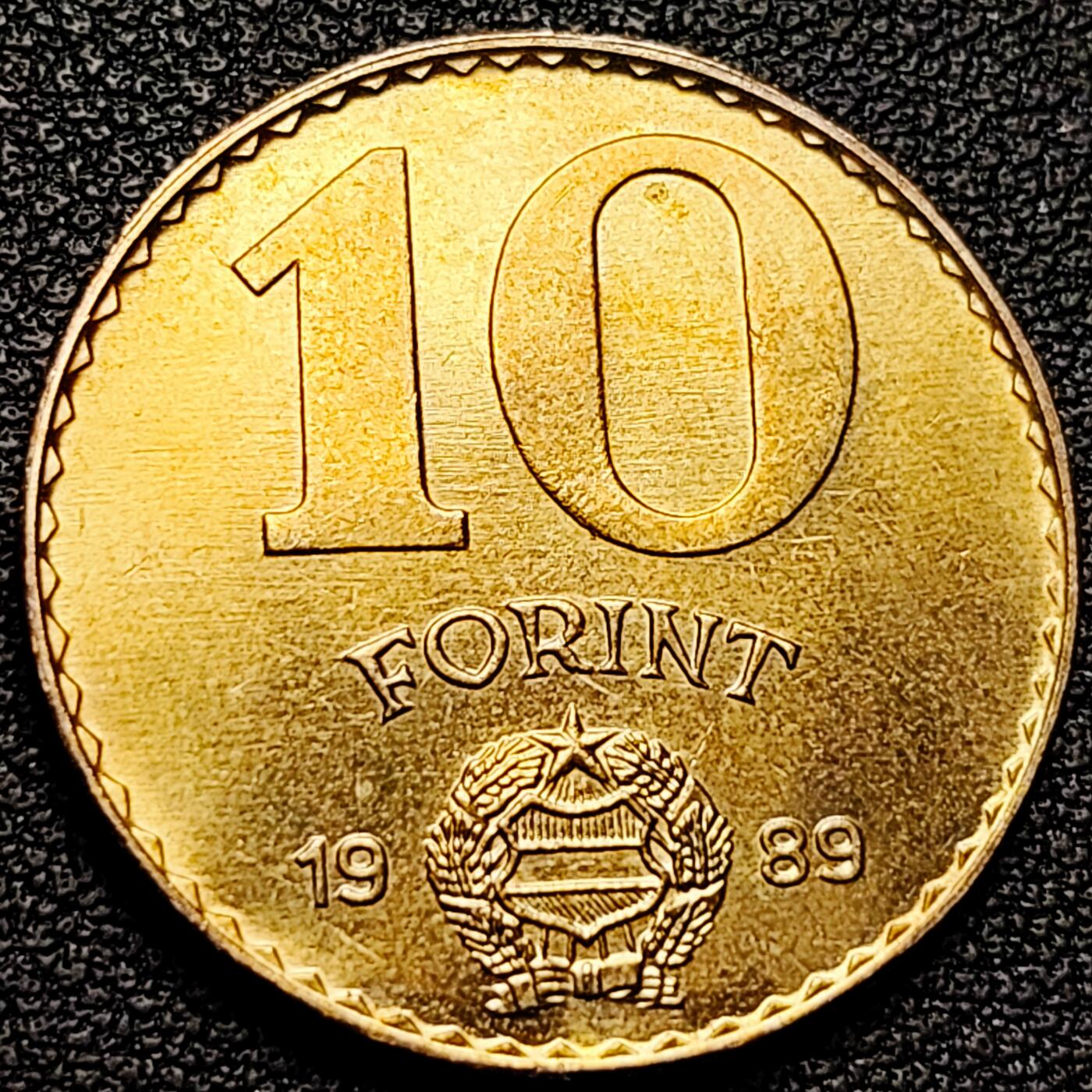 泉币菌-第176场- 精品福利场 。