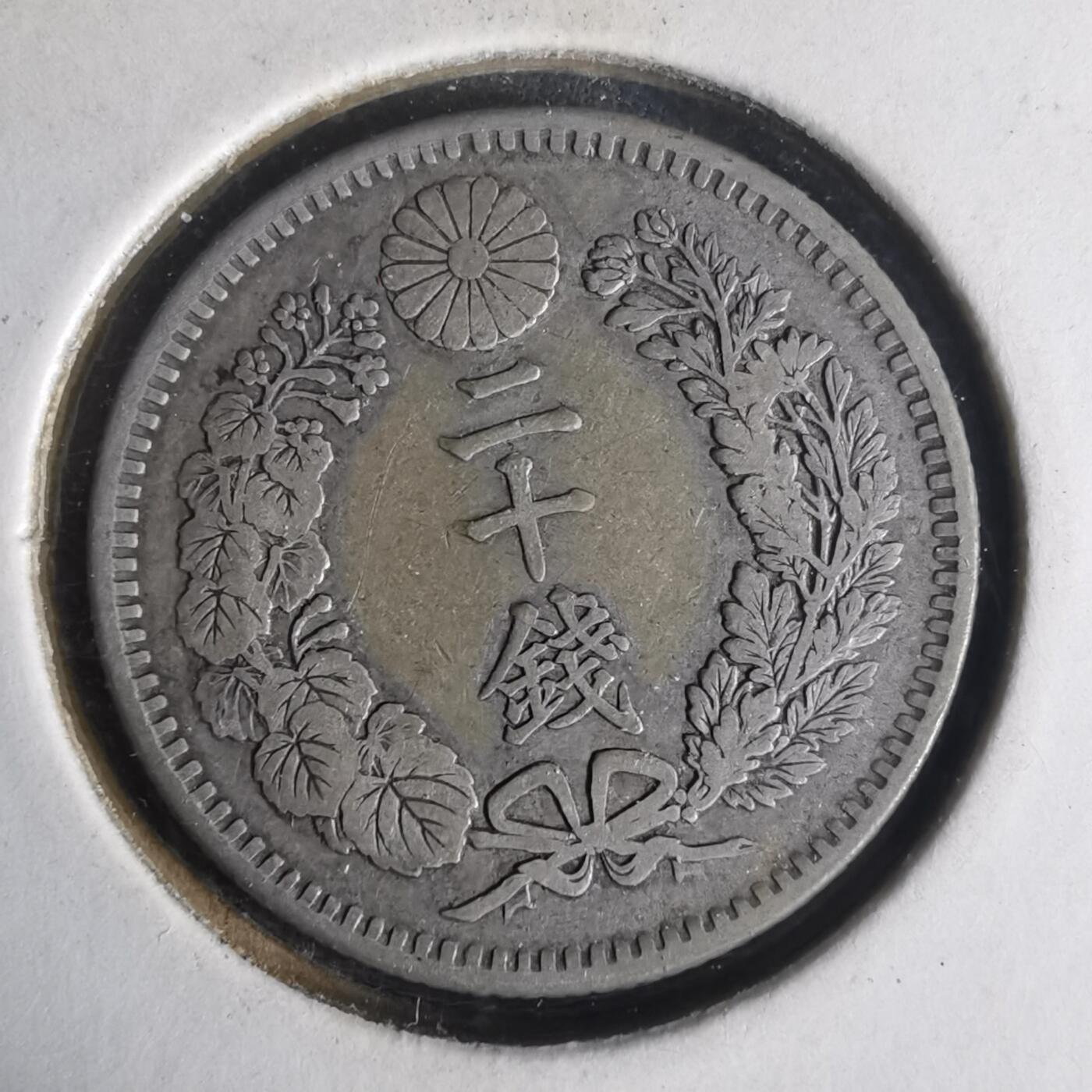 沼泽如烟--第977场