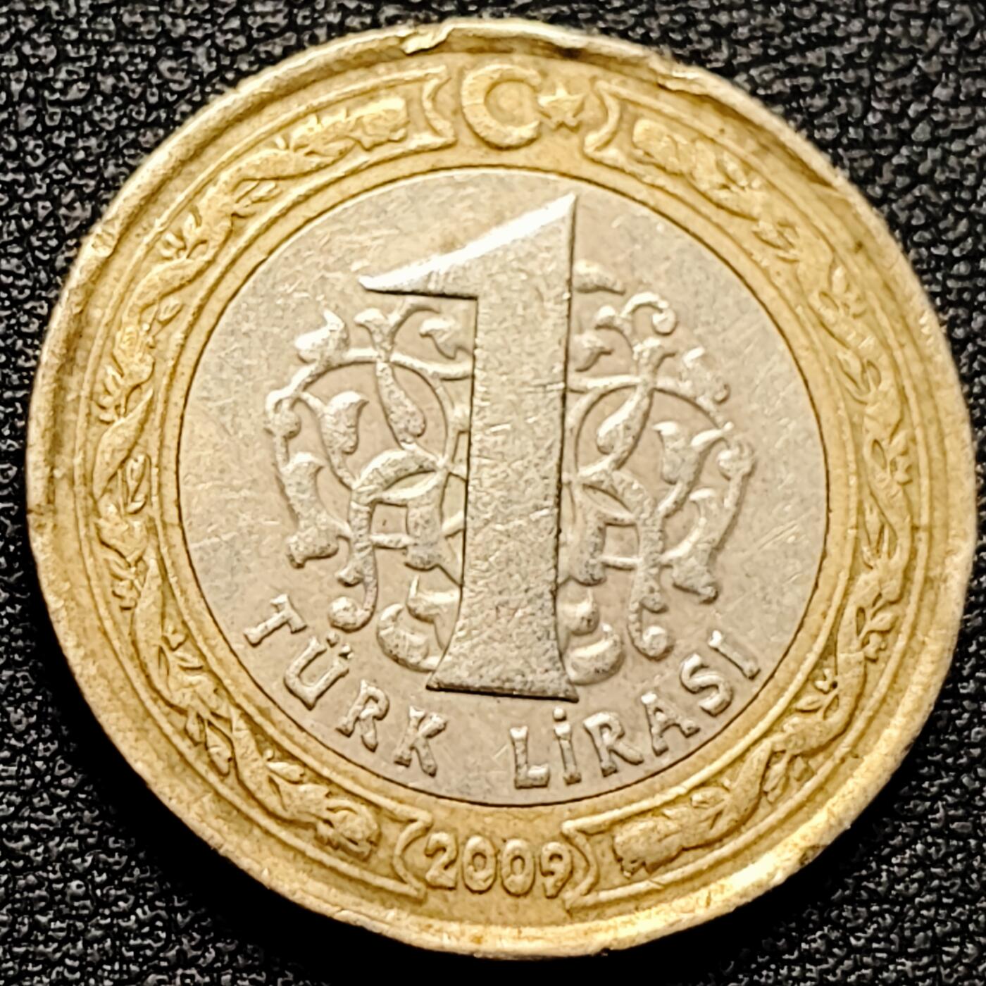 泉币菌-第175场- 精品福利场 。