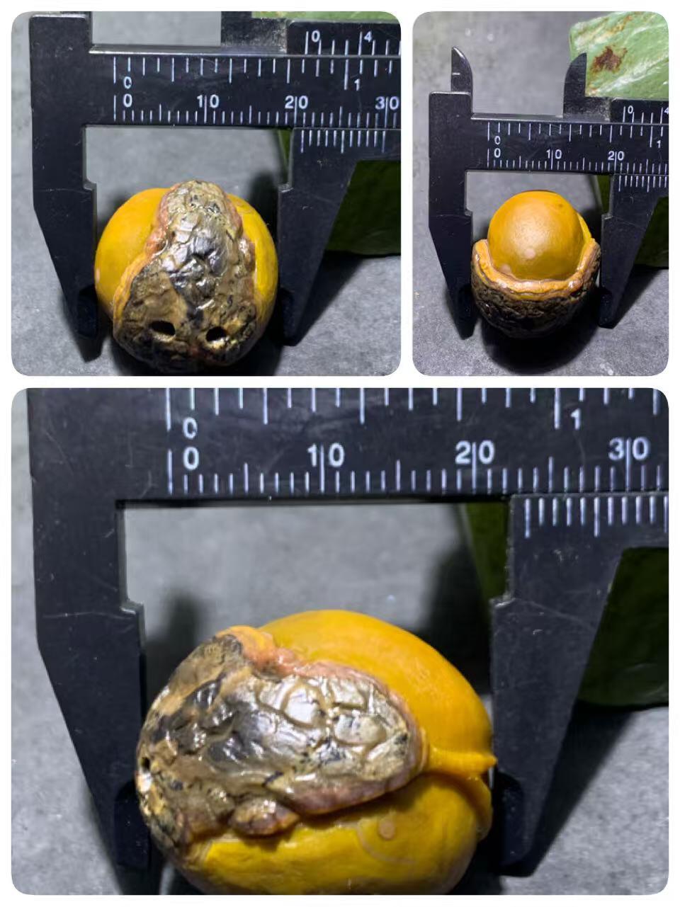 精美亚光原皮天眼纹战国红玛瑙手工俏色巧雕双头蛇吊坠一个，