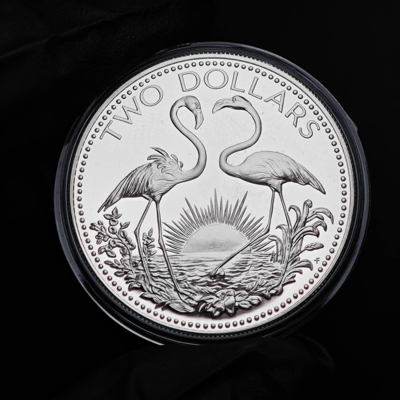 金瓯小拍第三期 古今币章 银价专场 巴哈马双火烈鸟精制银币1974年 33.3克