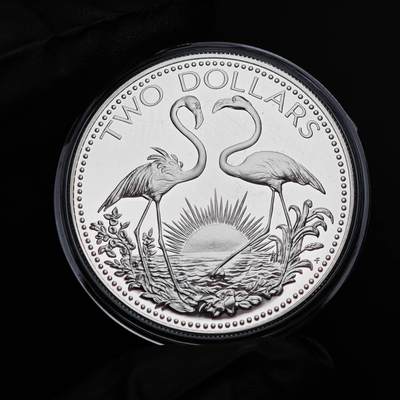 金瓯小拍第三期 古今币章 银价专场 - 巴哈马双火烈鸟精制银币1974年 33.3克