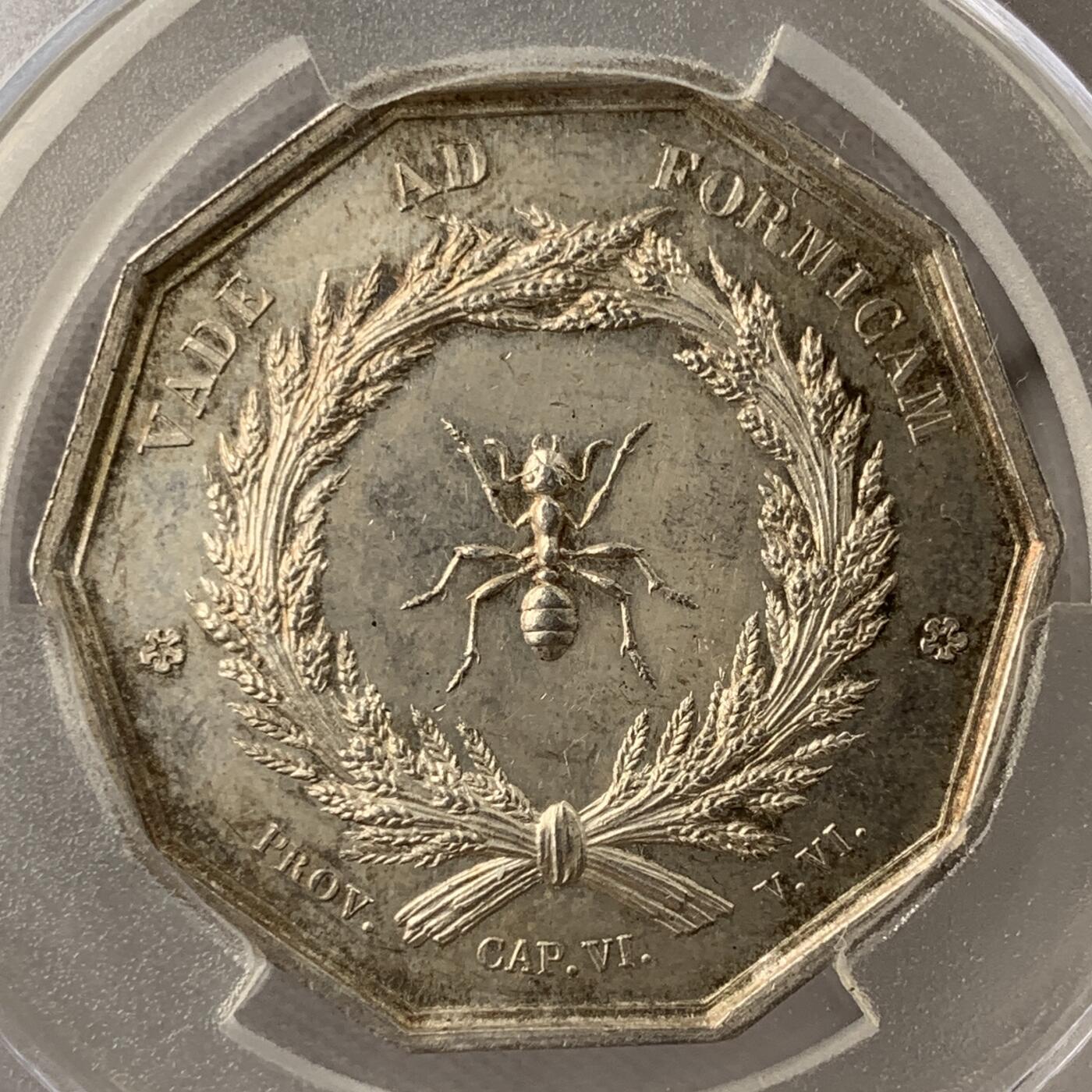 掌中浮雕-藏着的欧洲第051场