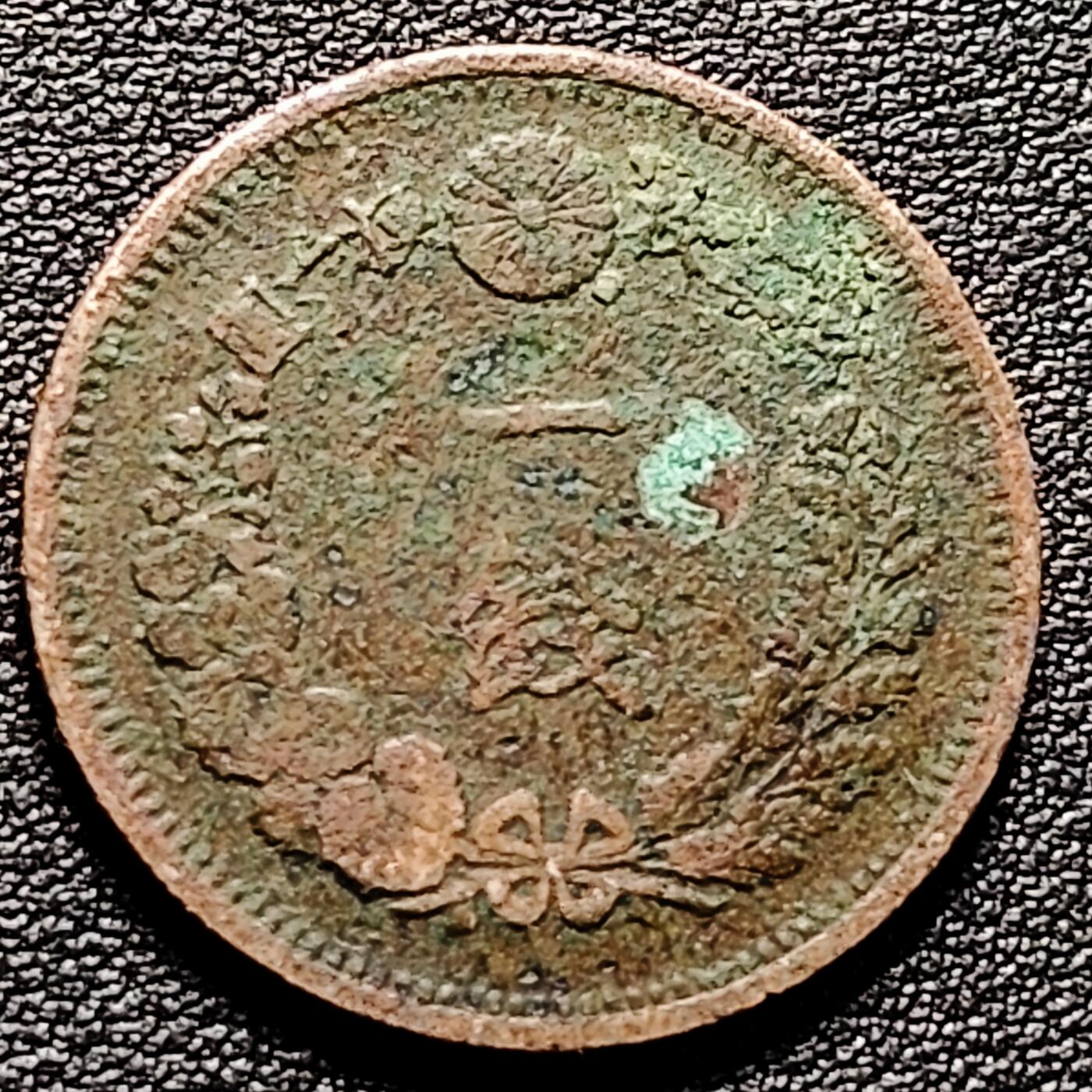 泉币菌-第176场- 精品福利场 。