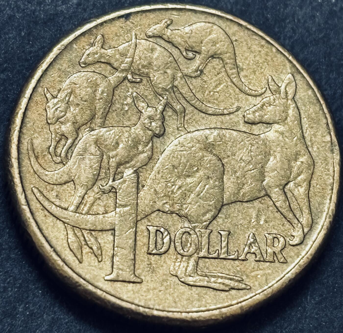 文馨钱币收藏 2026新年第五场（第 291 场）【长期接代拍品】 2011 年澳大利亚一元纪念币