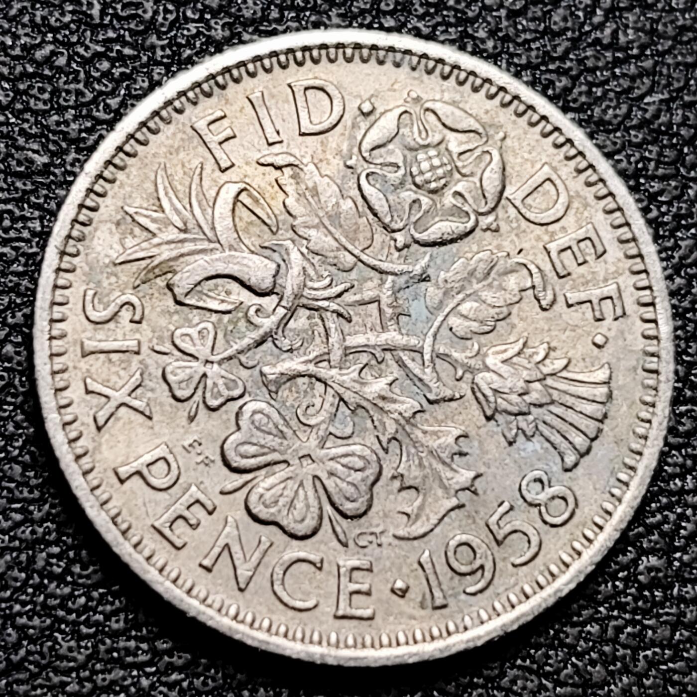 泉币菌-第176场- 精品福利场 。