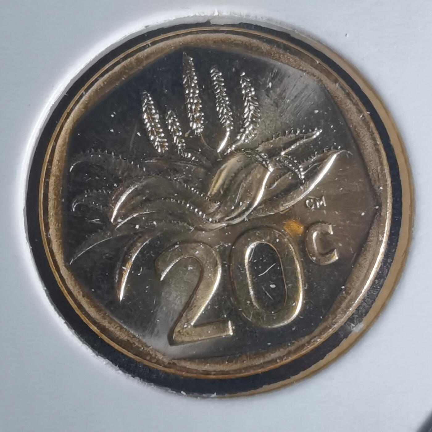 沼泽如烟--第977场 南非2024年20分