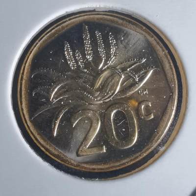 沼泽如烟--第977场 - 南非2024年20分