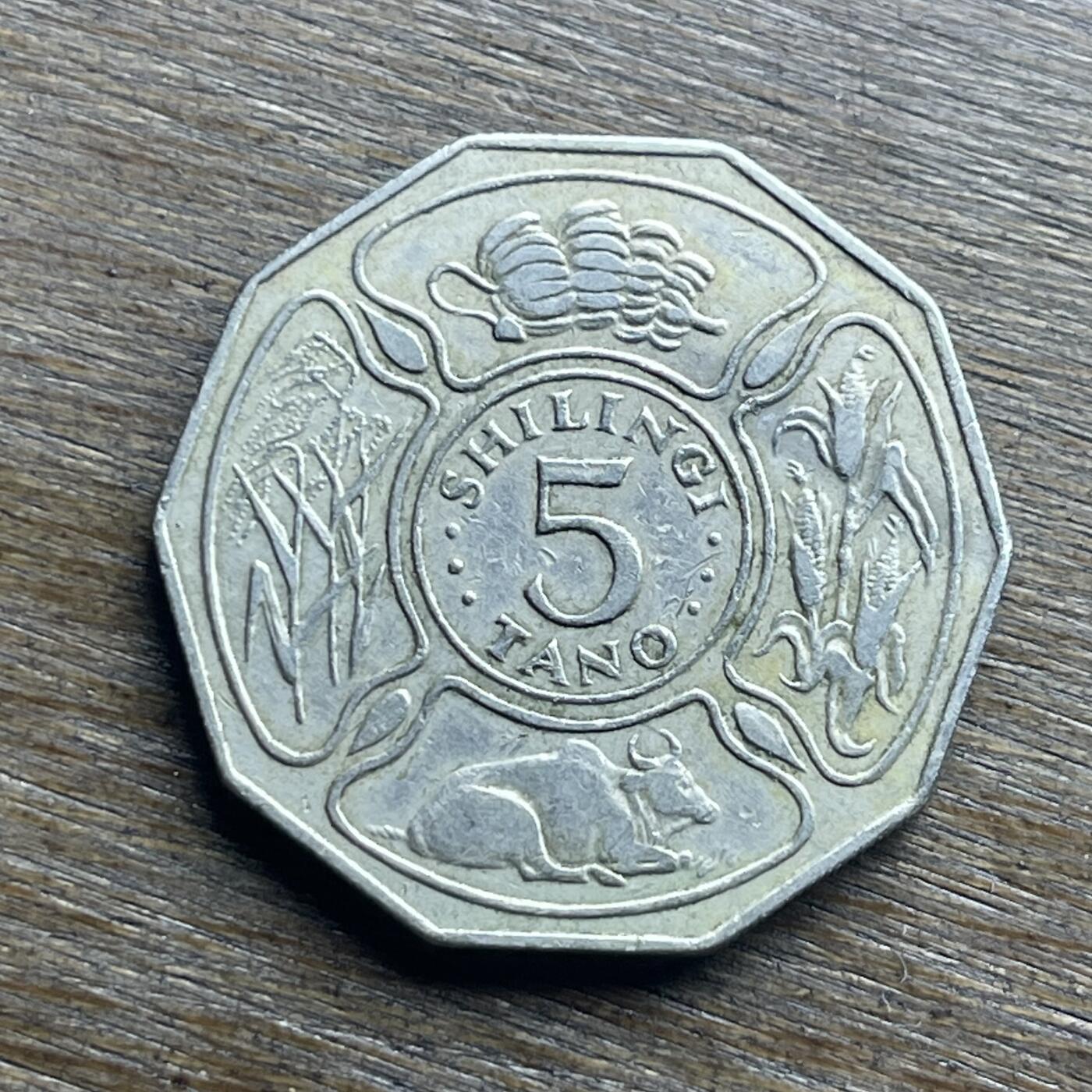 【本场4.12号发货】★第145加场★精品硬币 套币专场 不寄存，200包邮。不满200元，支付5元运费。《接受代拍 代送NGC评级》 84【无寄存】1973 坦桑尼亚 5先令 镍币