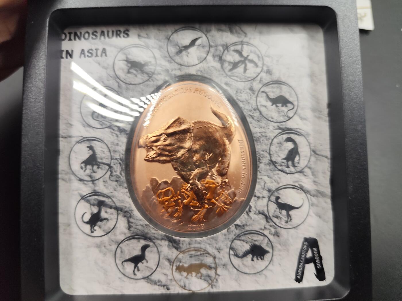 1月25日徽章钱币专场 三角龙纪念币 精美包装