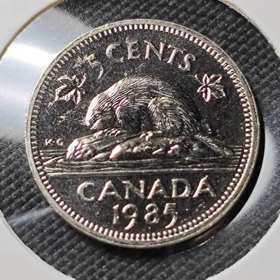 KK钱币收藏小铺  第390期  2月预留时间 周末发货 -  1985加拿大5分精制币