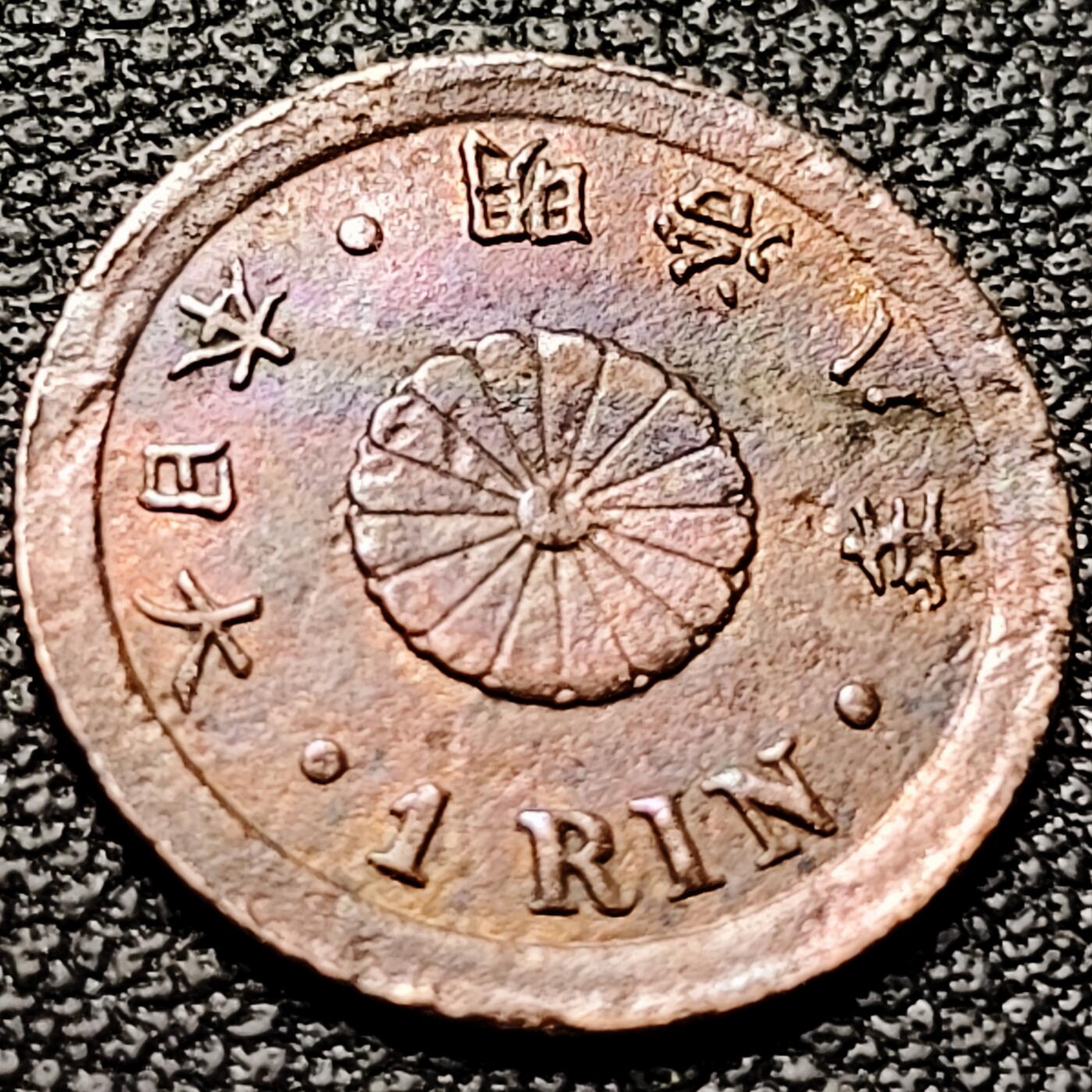 泉币菌-第176场- 精品福利场 。