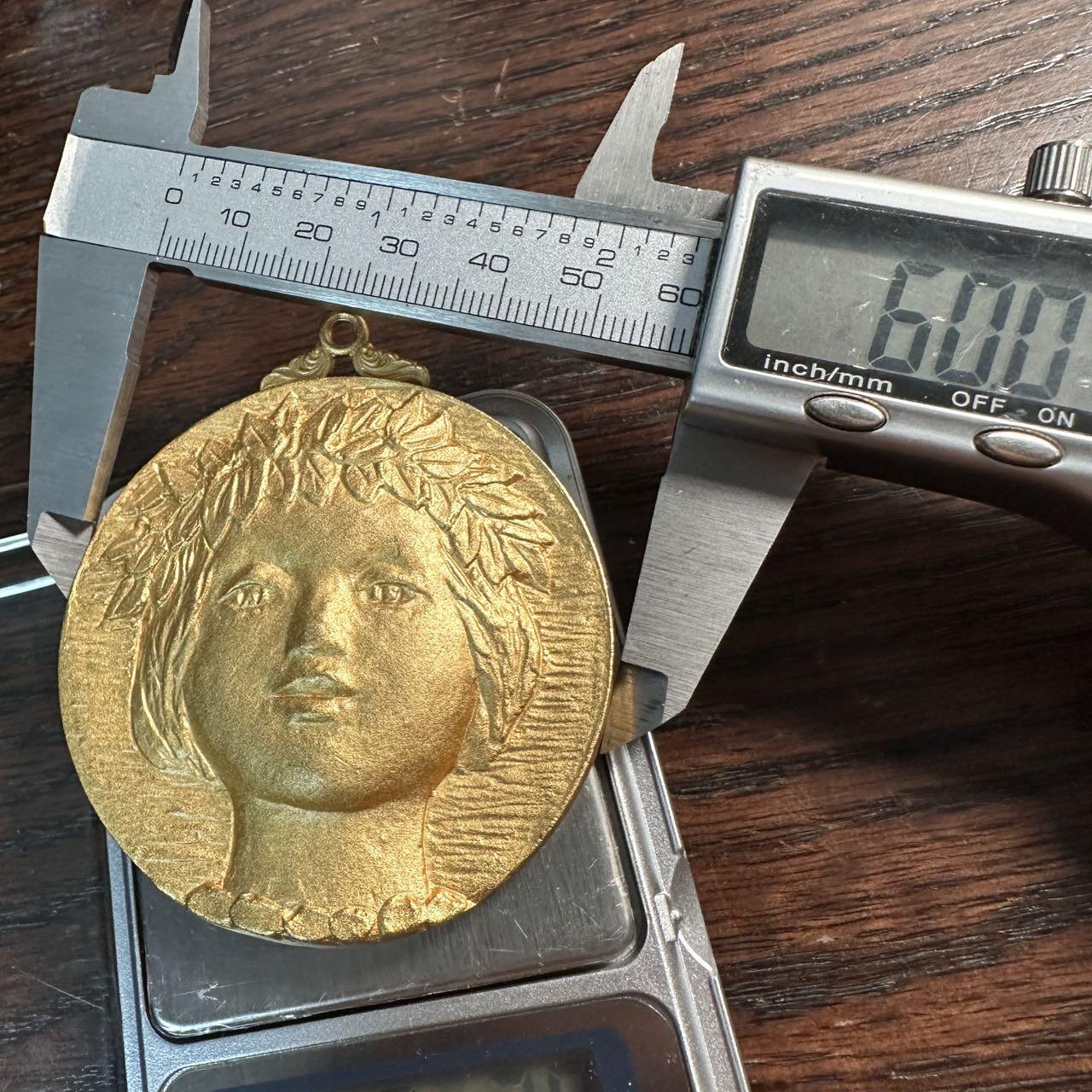 蒂克钱币-第57场 日本章 企业章拍卖  福岛家庭 少女头像镀金章 60mm 162g