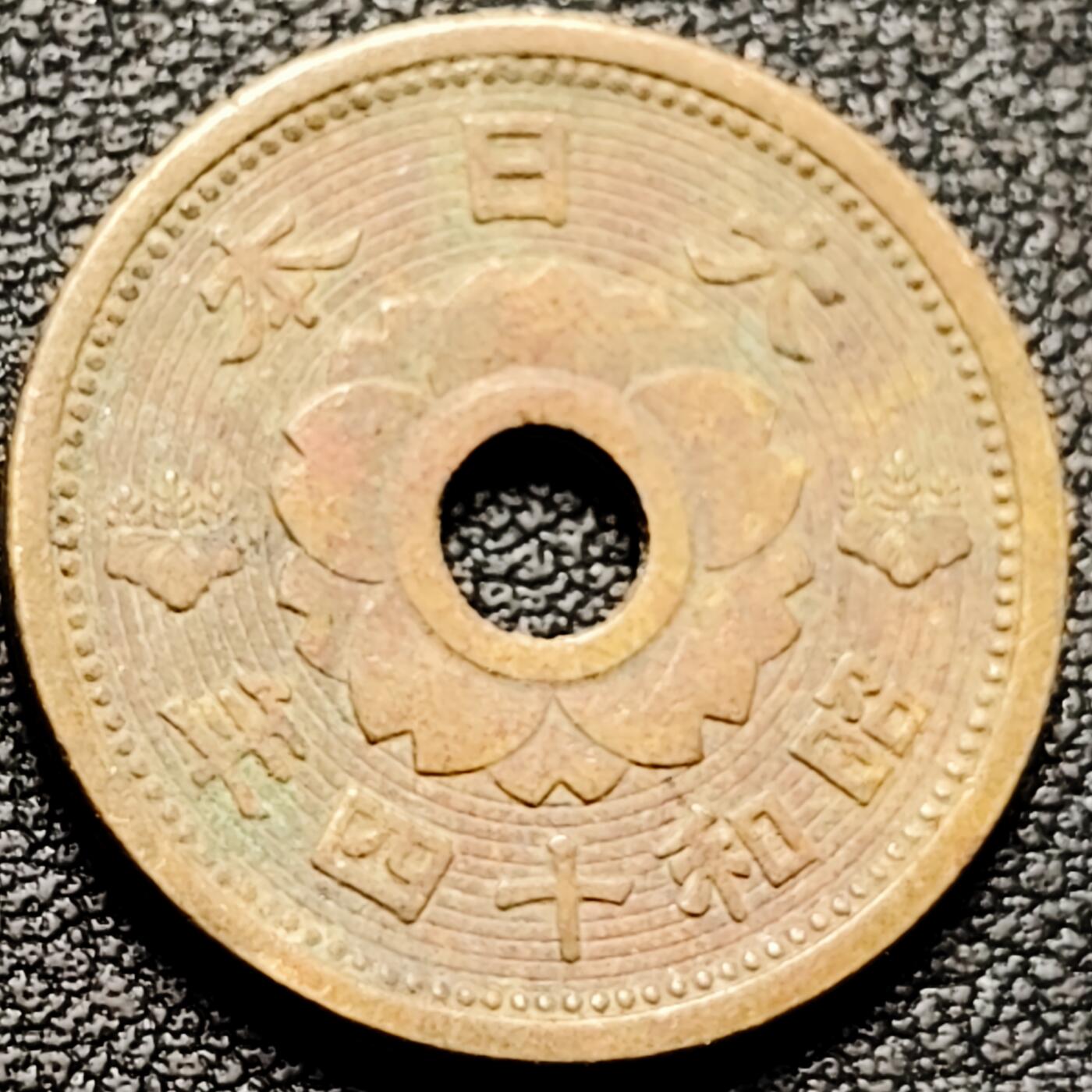 泉币菌-第176场- 精品福利场 。