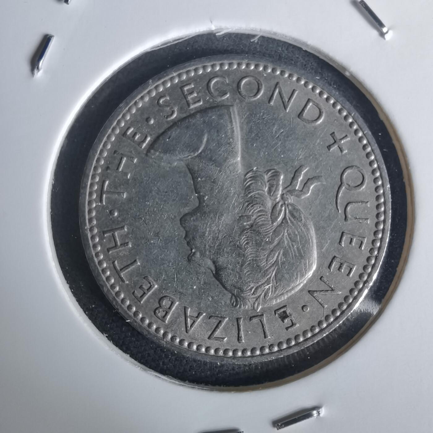 沼泽如烟--第977场