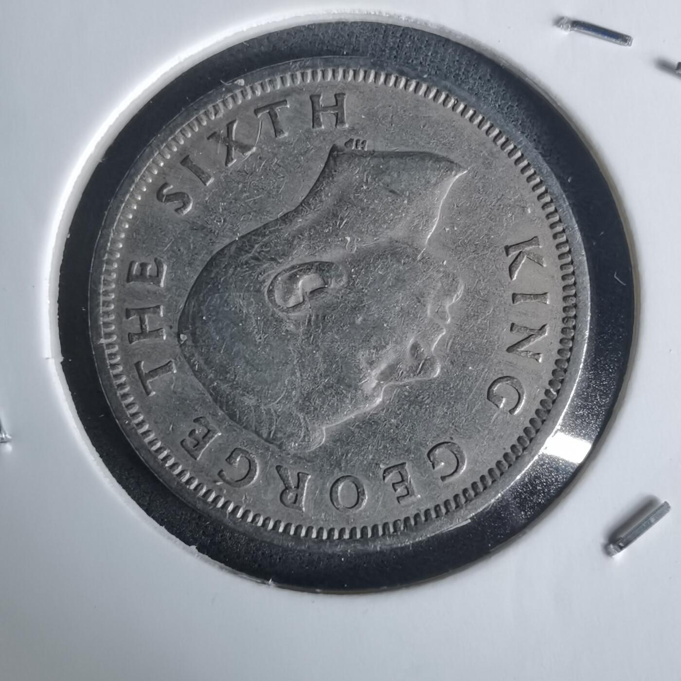 沼泽如烟--第977场