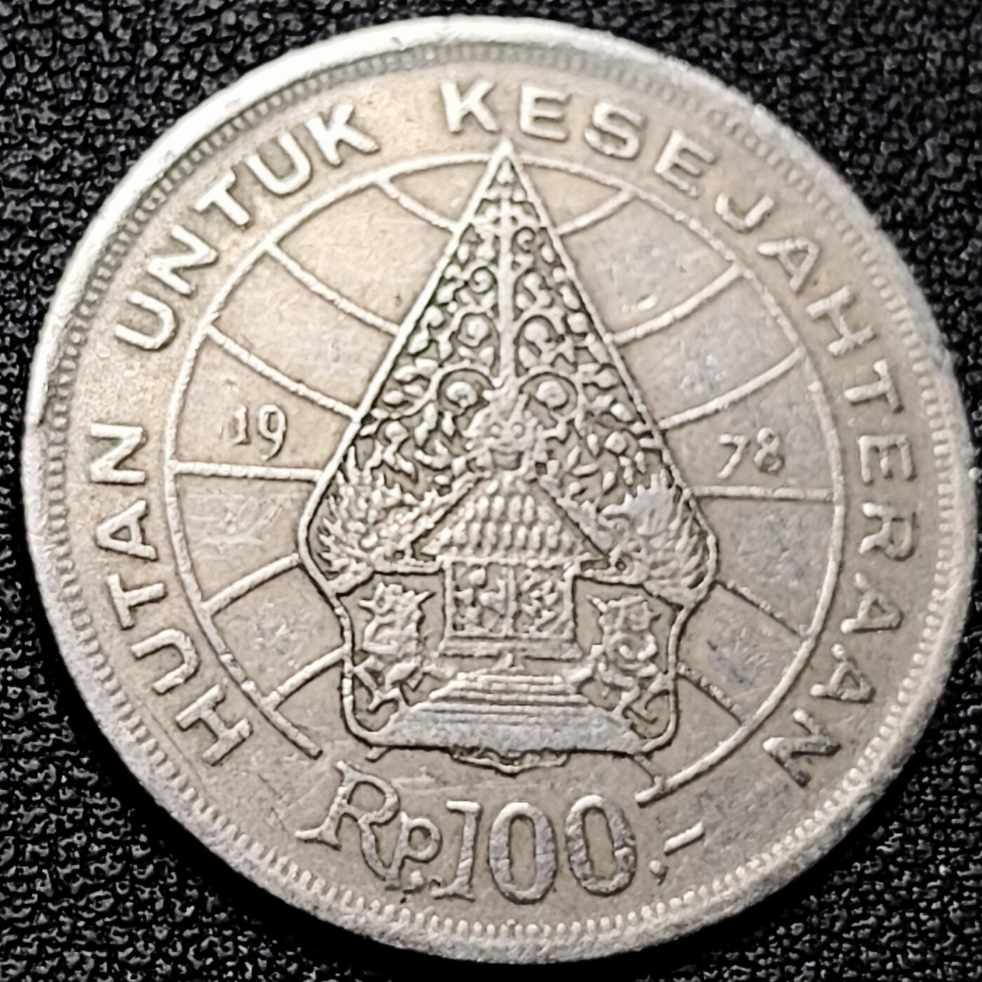 泉币菌-第175场- 精品福利场 。