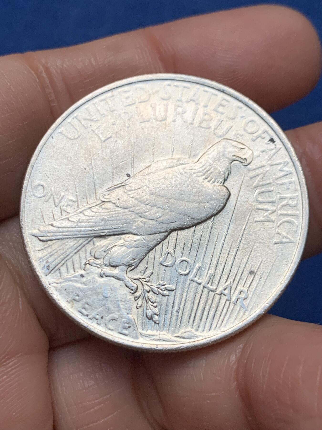 《竞宝斋》第462场 周日，周一，2场连拍 （全场包邮）欢迎送拍 美国1922年和平银币 26.6克