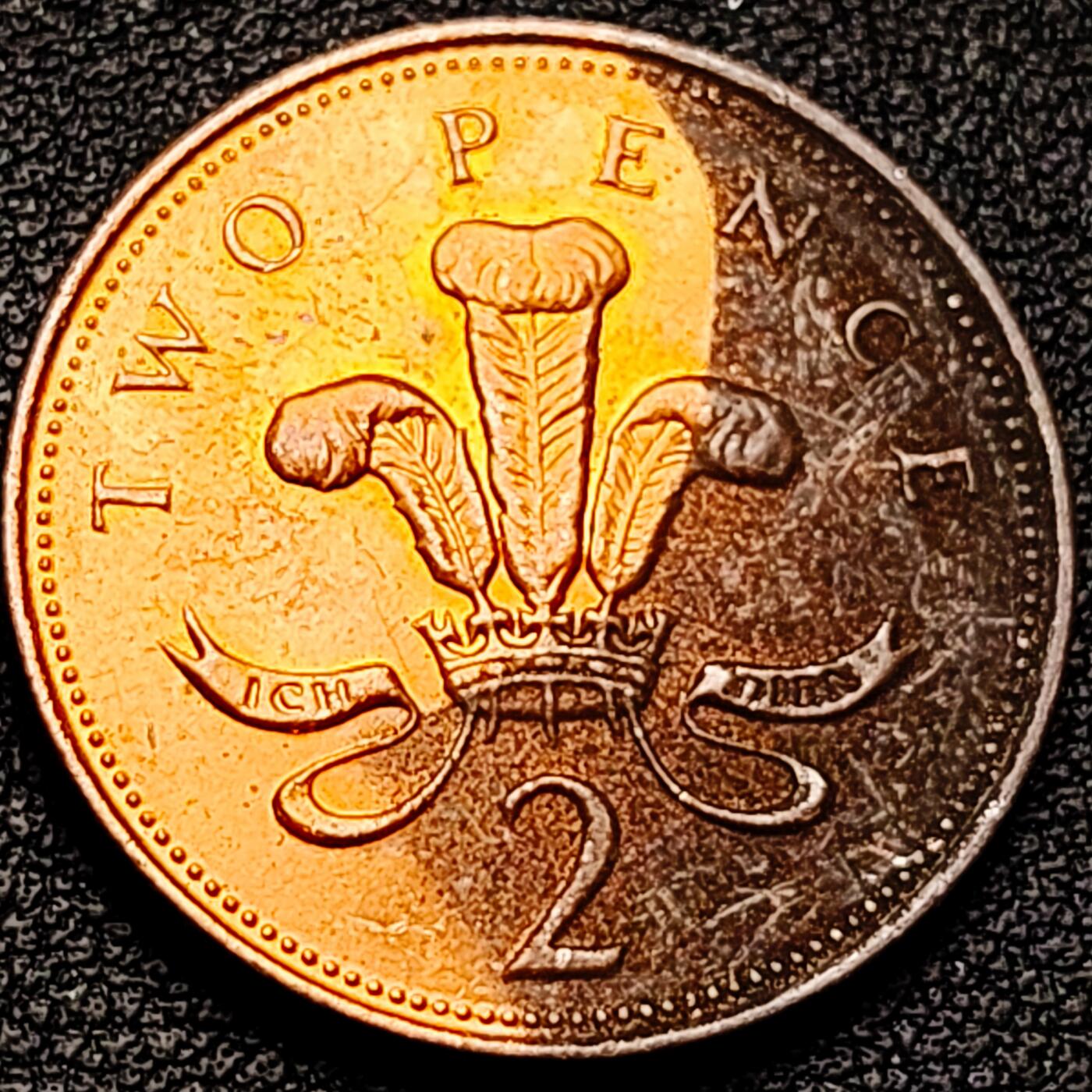 泉币菌-第176场- 精品福利场 。