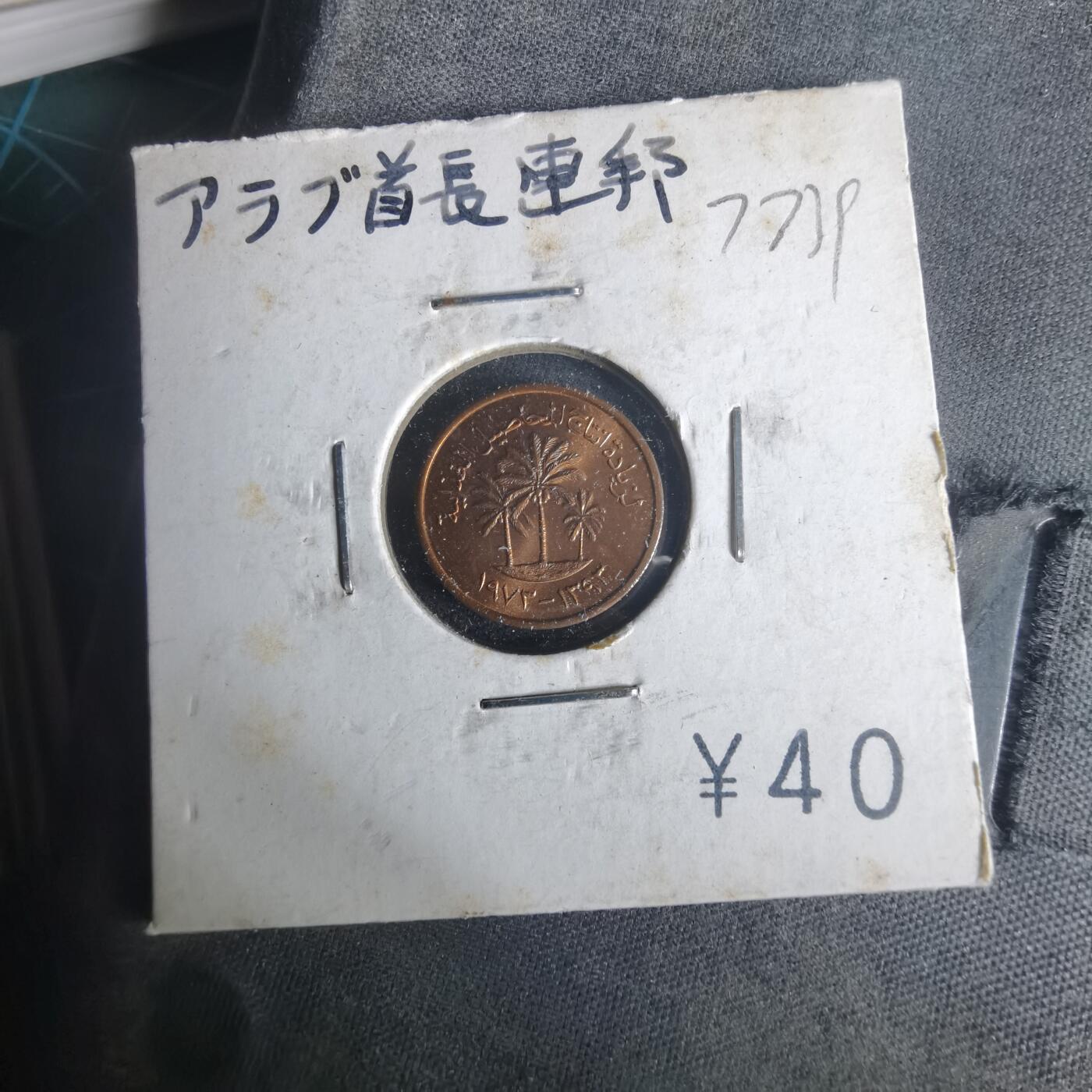 沼泽如烟--第977场 阿联酋