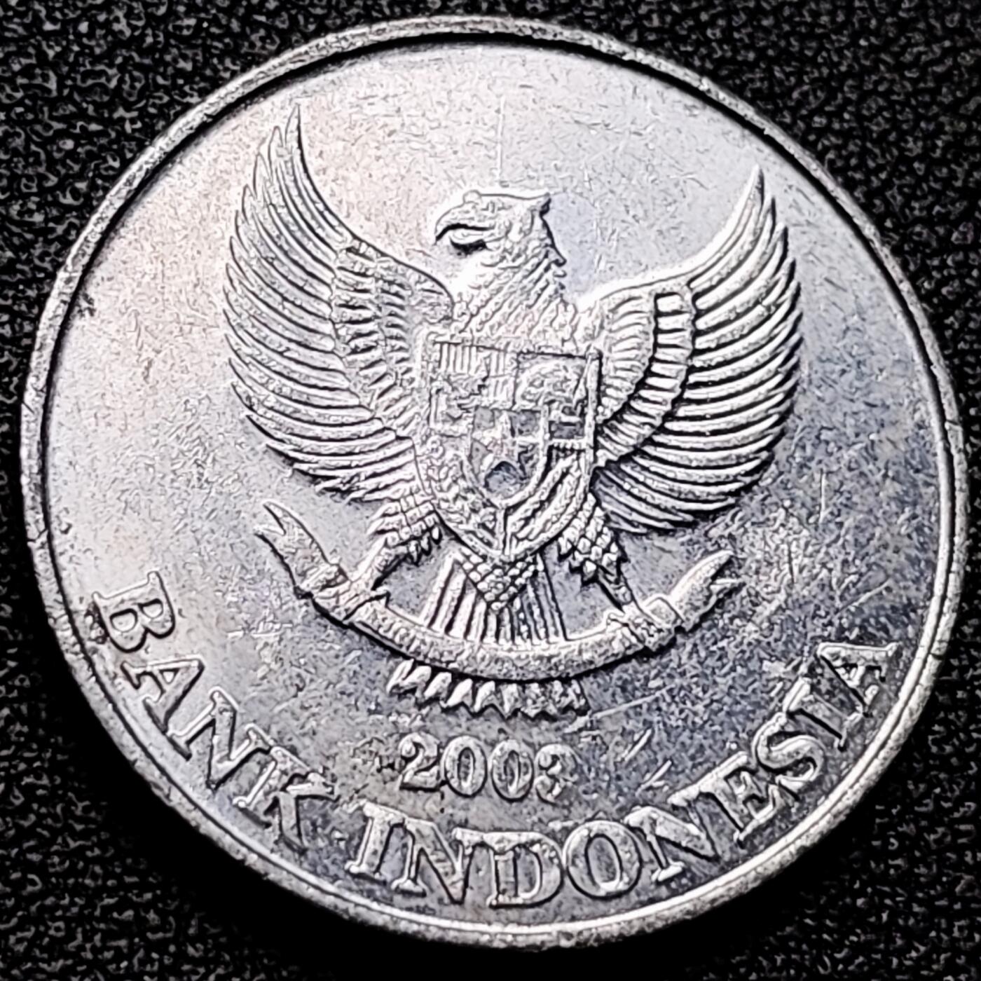 泉币菌-第175场- 精品福利场 。