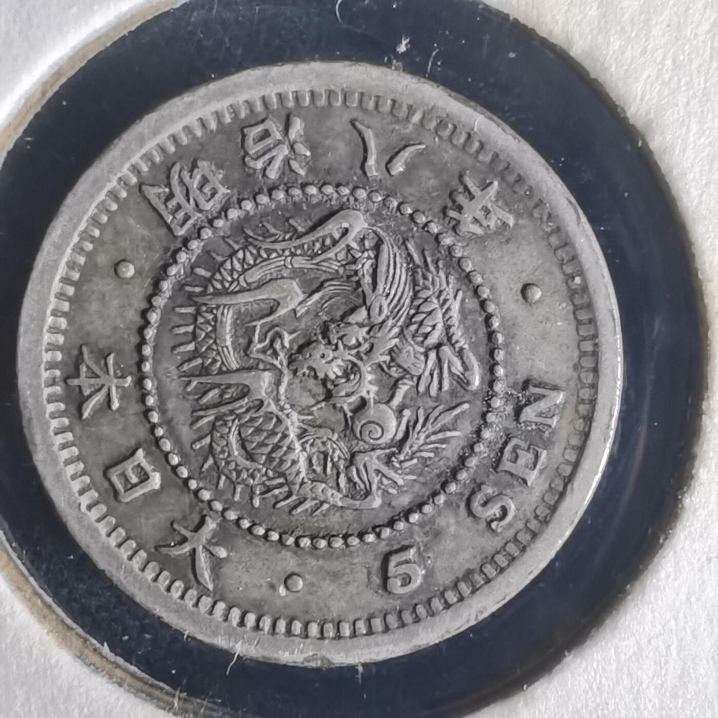 沼泽如烟--第977场