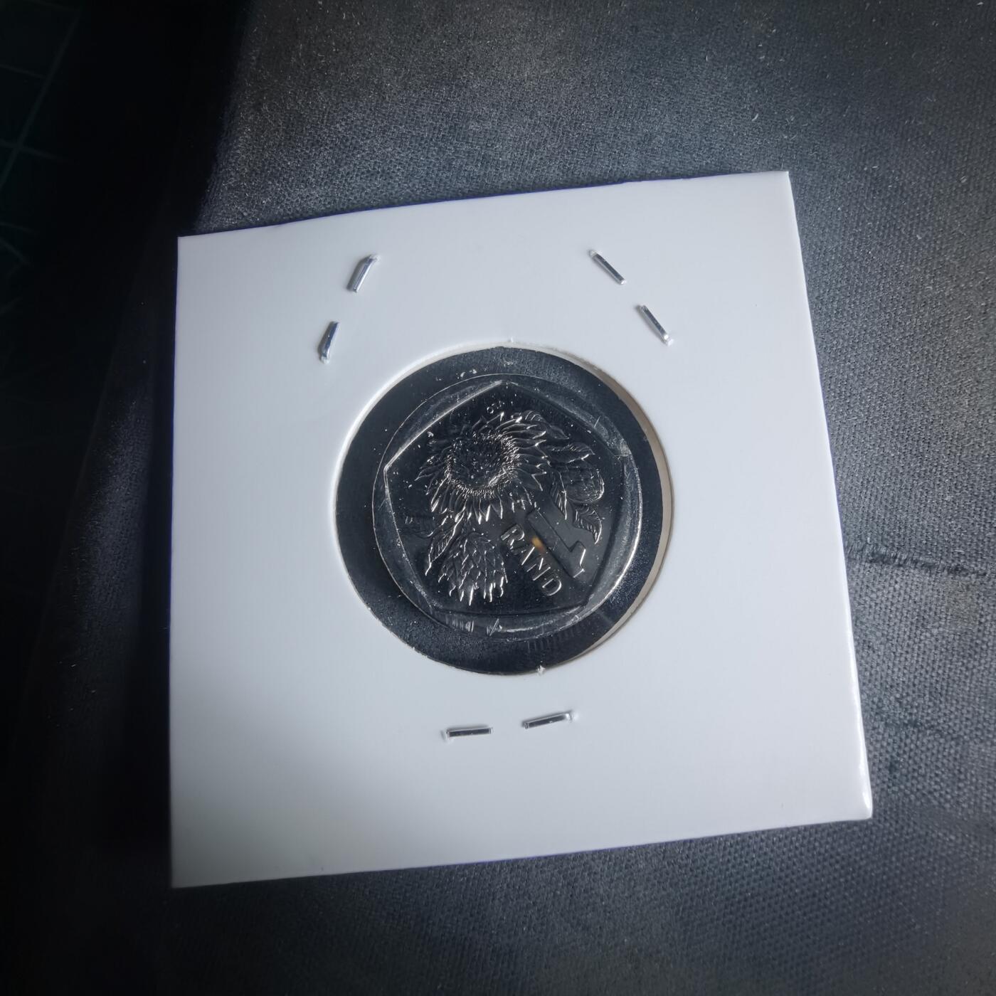 沼泽如烟--第977场