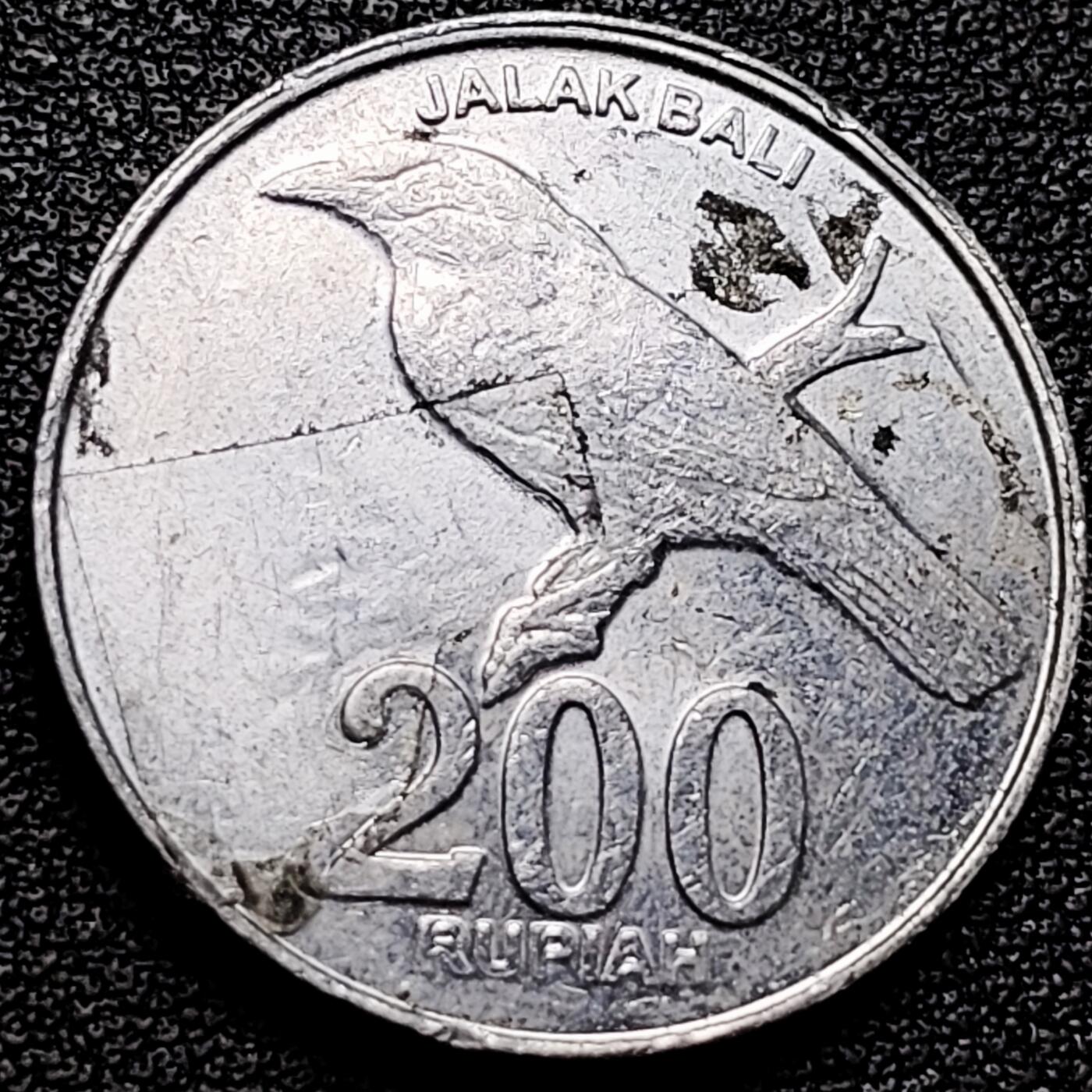 泉币菌-第175场- 精品福利场 。