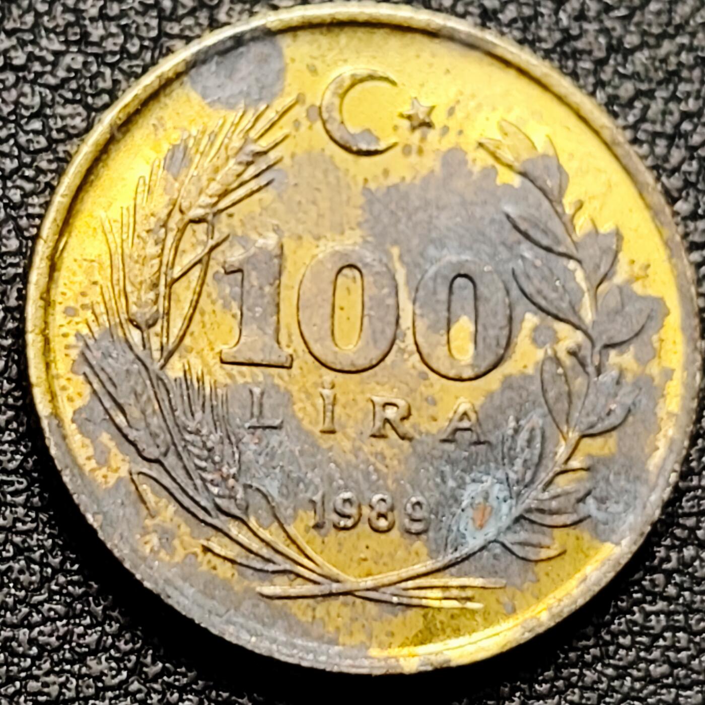 泉币菌-第175场- 精品福利场 。